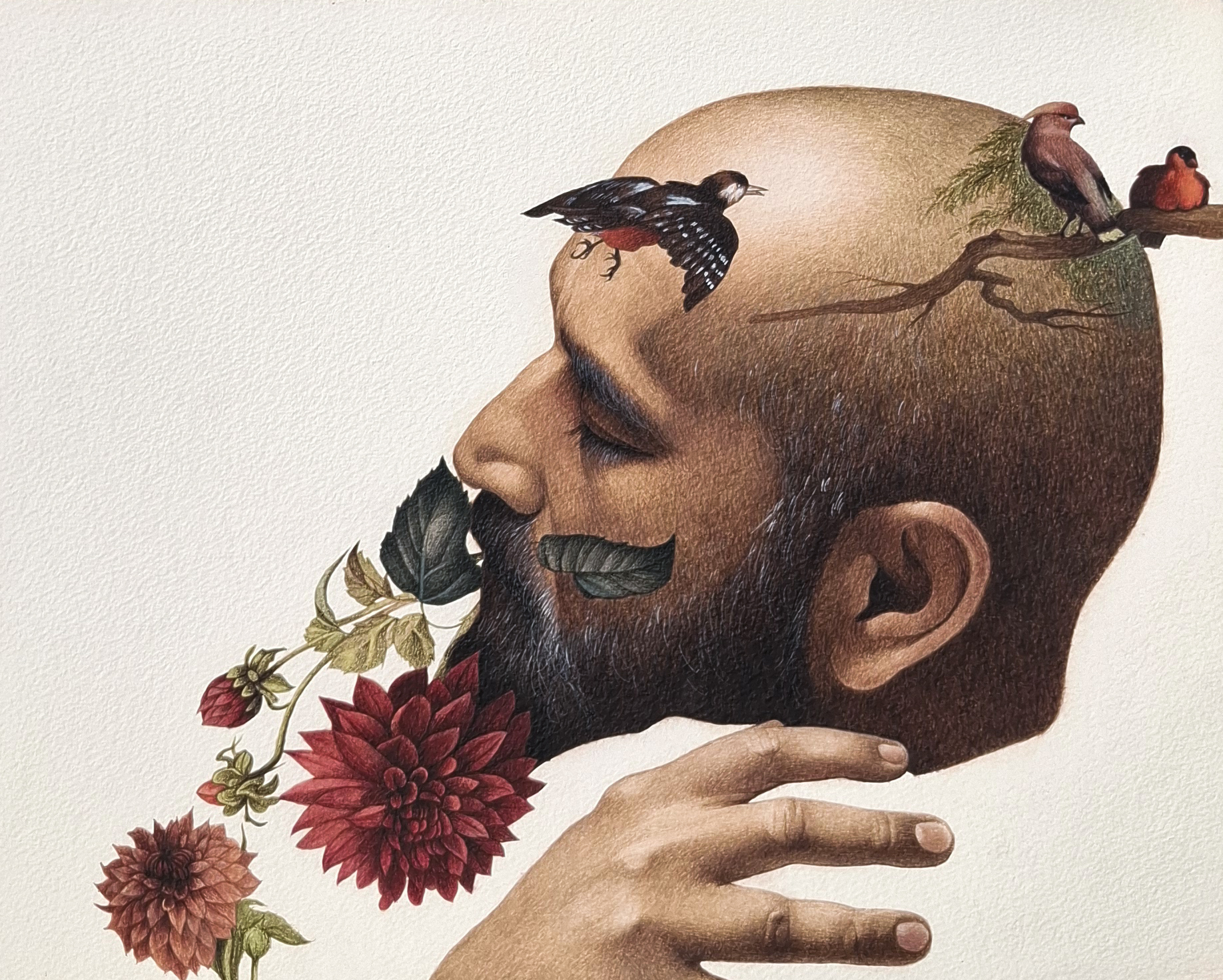 After Melchior D, Hondecoeter