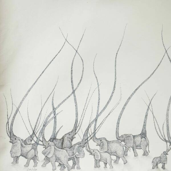 Untitled - Image 2