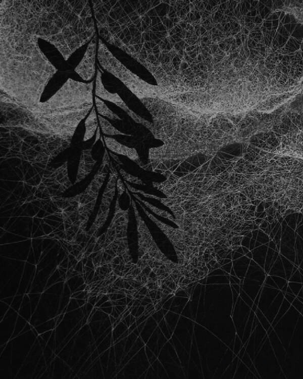 Threads of Resilience