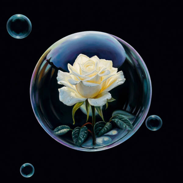 Elusive Tranquility III