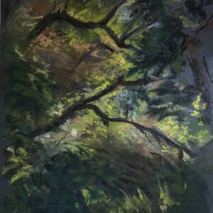 Where Light Hesitates