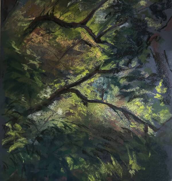 Where Light Hesitates