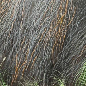 Where the Grass Burns