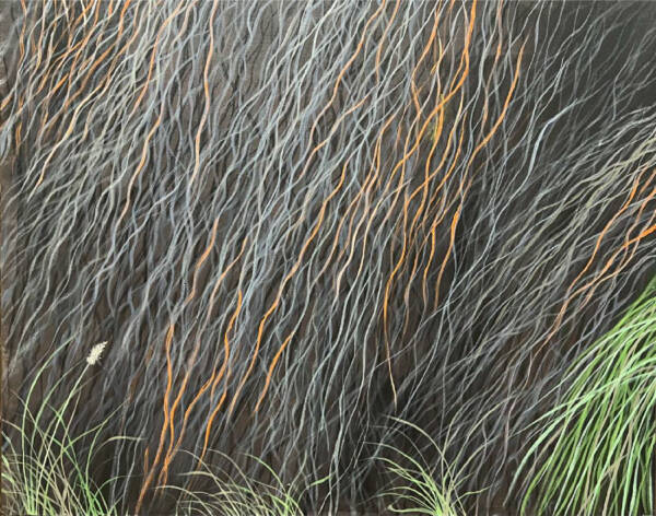 Where the Grass Burns